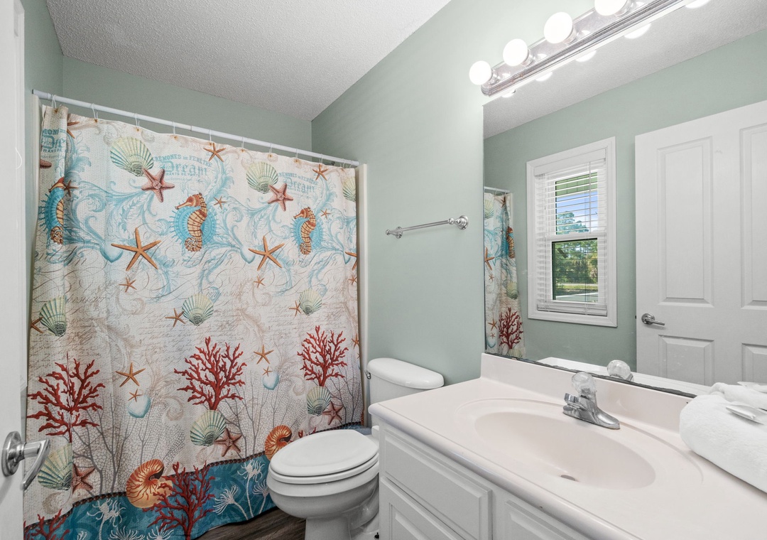 8-web-or-mls-FDP06418