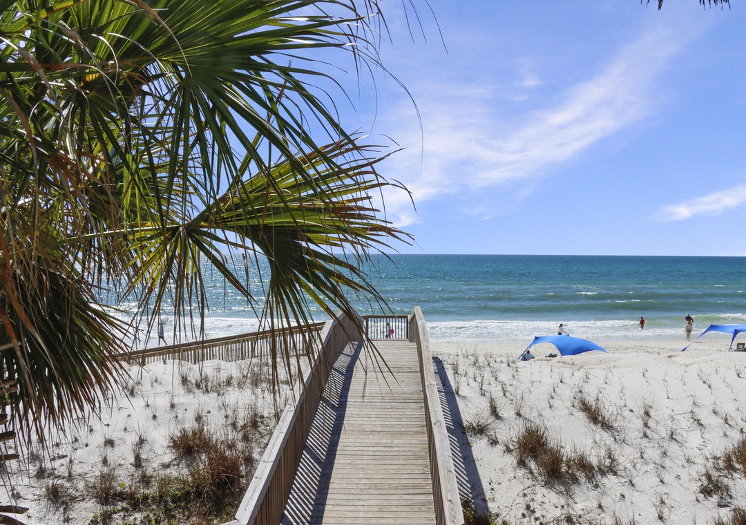 Main Level Deck View