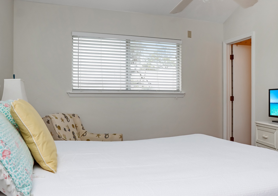 Master Bedroom with Master Bath and TV