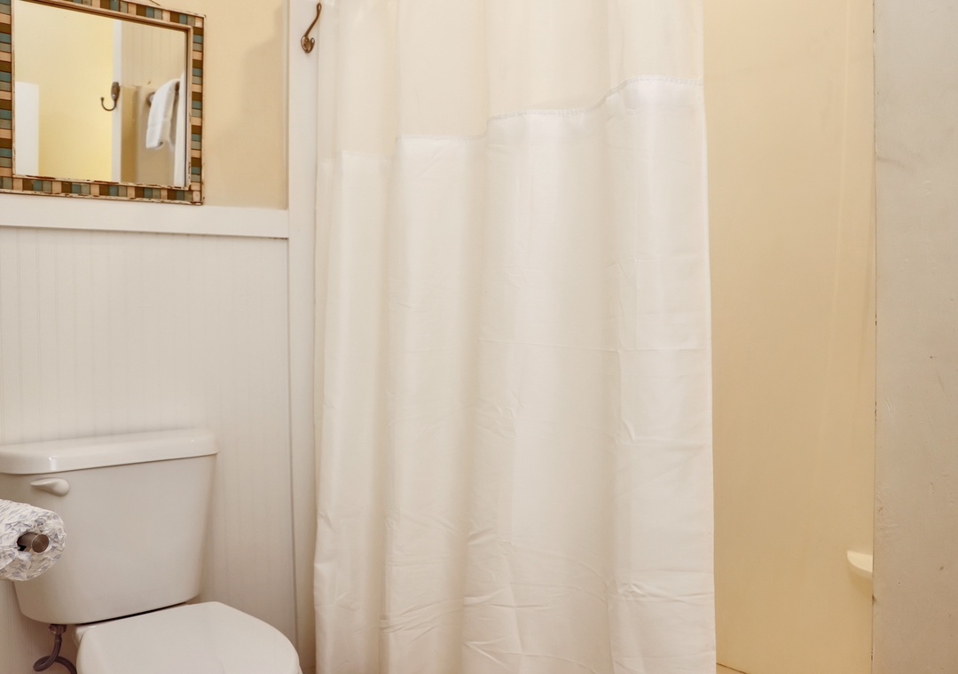 Full Bathroom Shower - Ground Floor