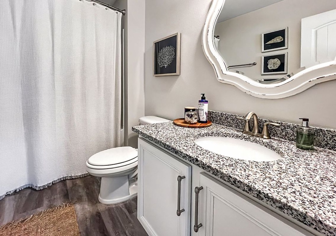 Guest Bathroom 1