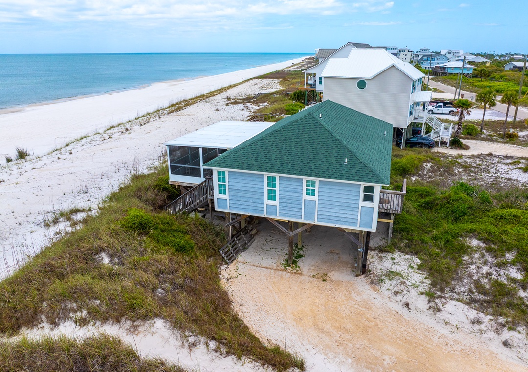 Turtle's Nest