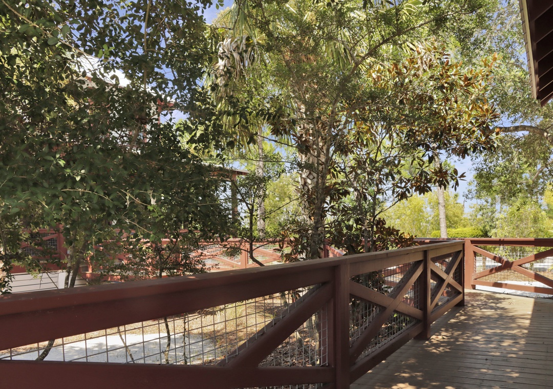 Shaded Location on Corner Lot