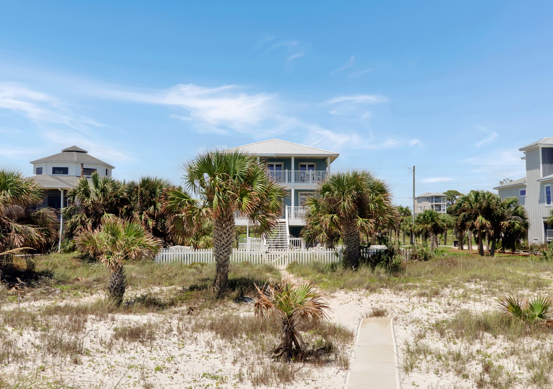 Beach Front Sea Palms