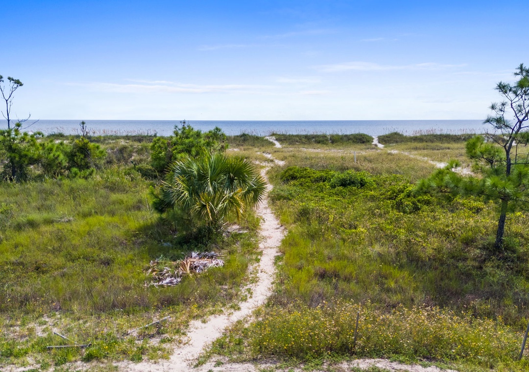 Path To Beach