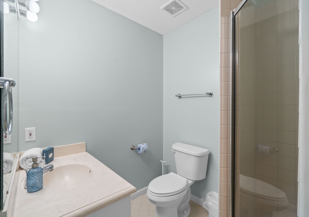 Guest Bathroom 2