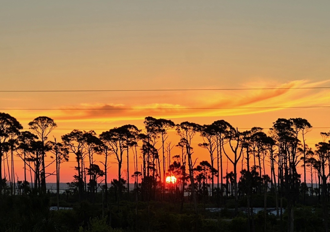 Barrier Dunes 164 - 144 Bay Breeze