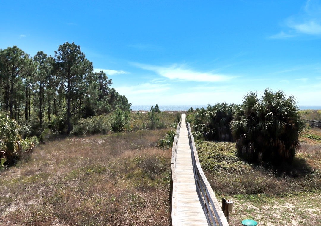 View from Beach Front Deck