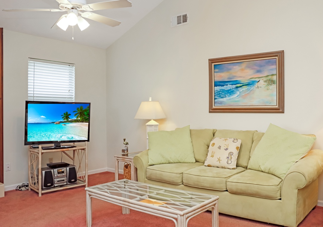 Living Room with Sleeper Sofa and TV