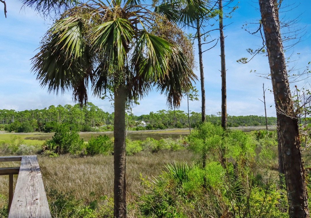 Lagoon View