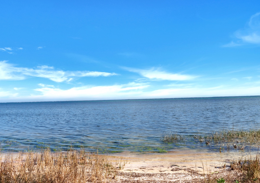St. Joe Bay from Backyard