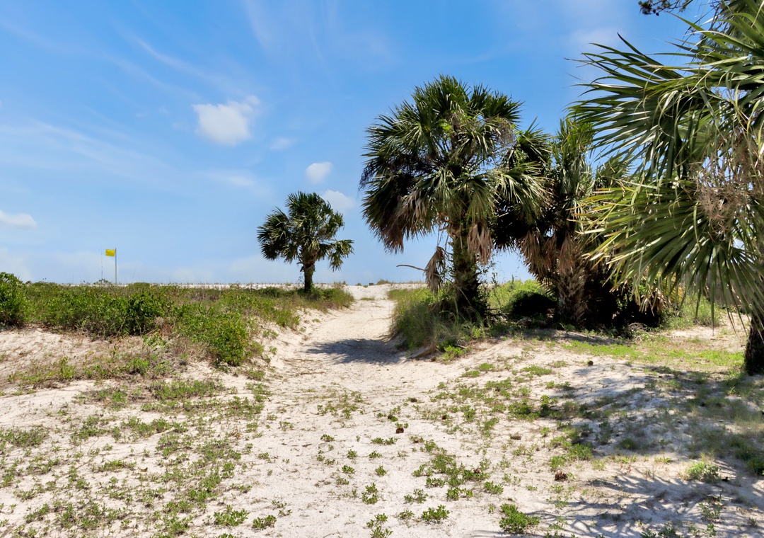Pathway to Beach