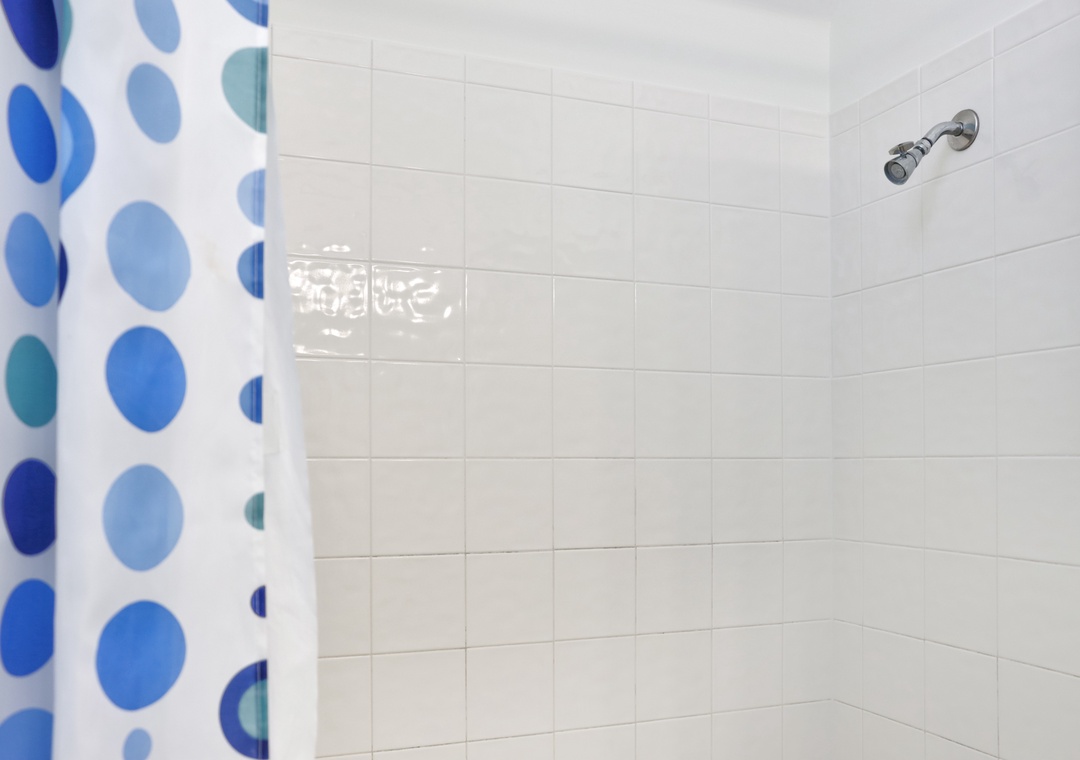 Bedroom 2 - Master Bathroom Shower