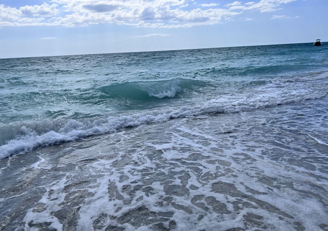 image_167382500