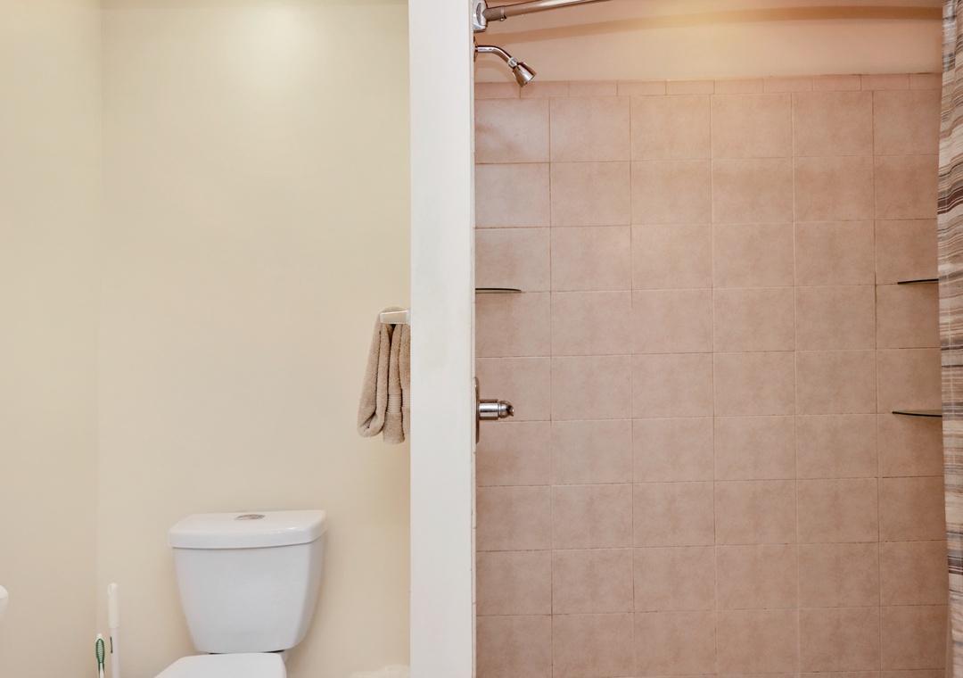 Master bathroom