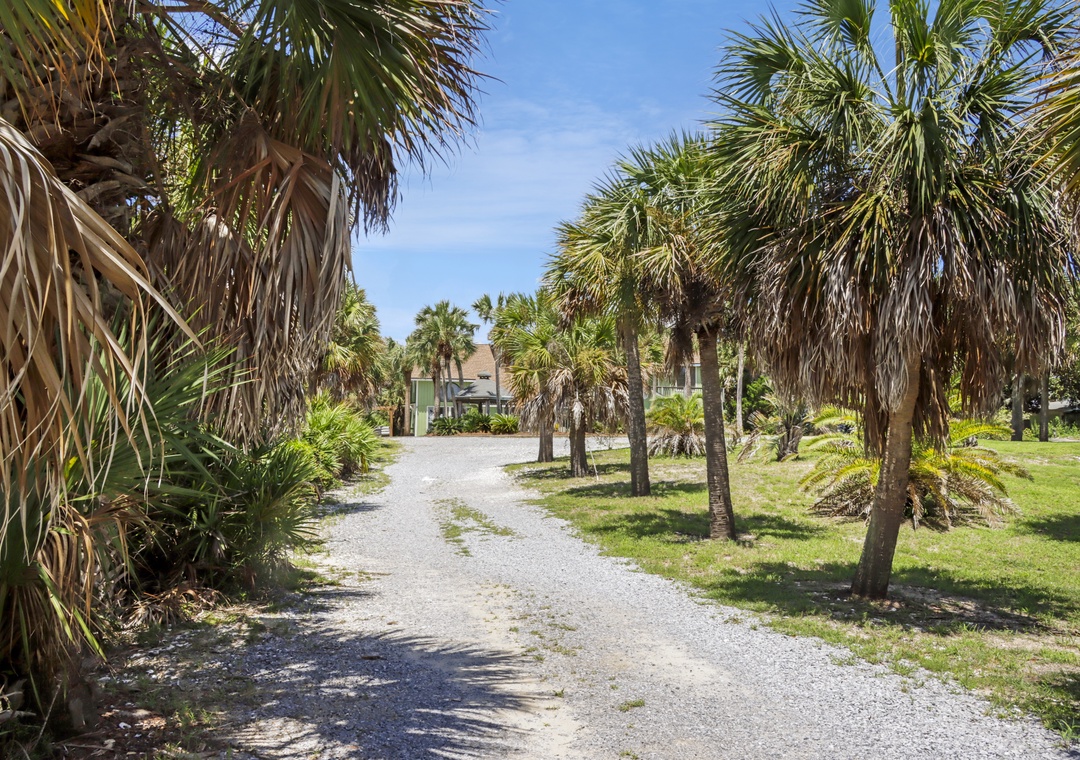 Driveway to Hidden Palms