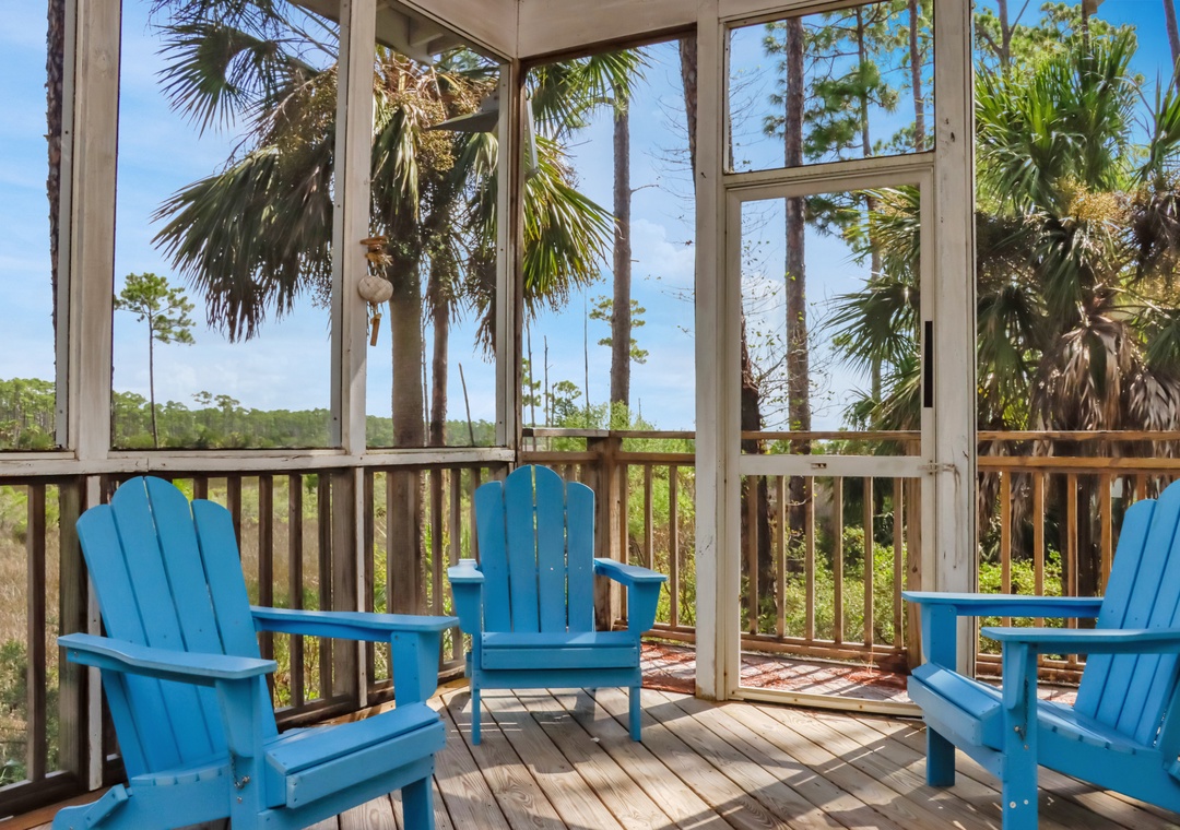Screened Back Deck Sitting Area