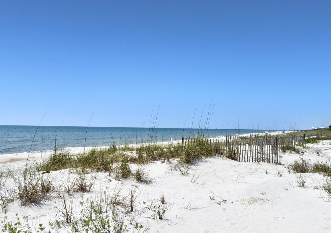 Beach View