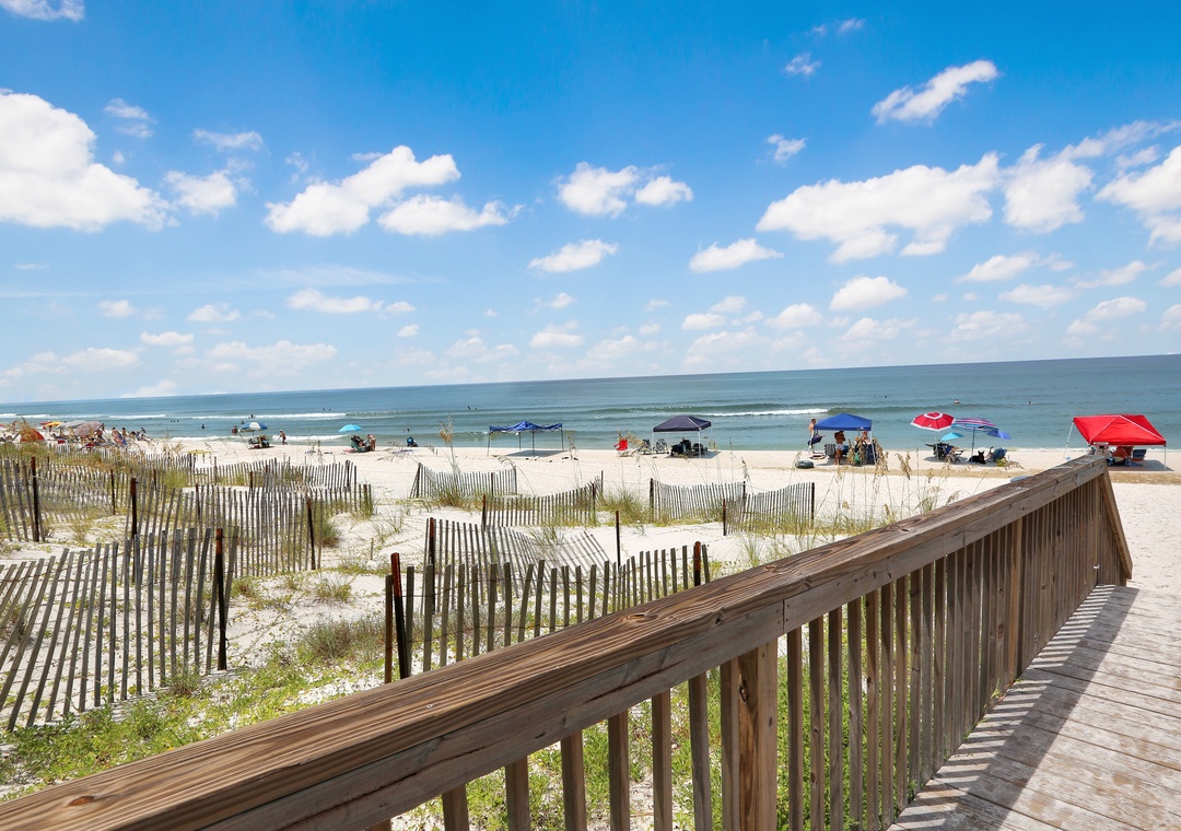 View to the South from Community Boardwalk