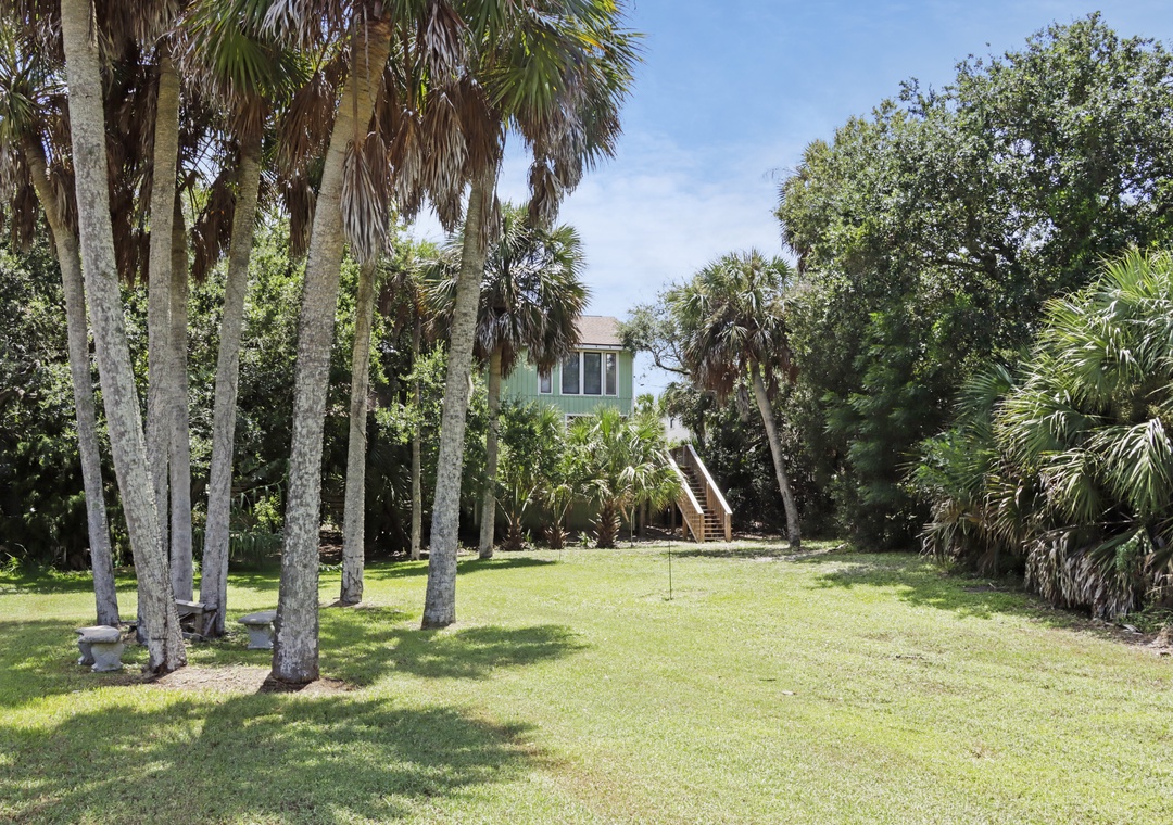 Rear View from Backyard