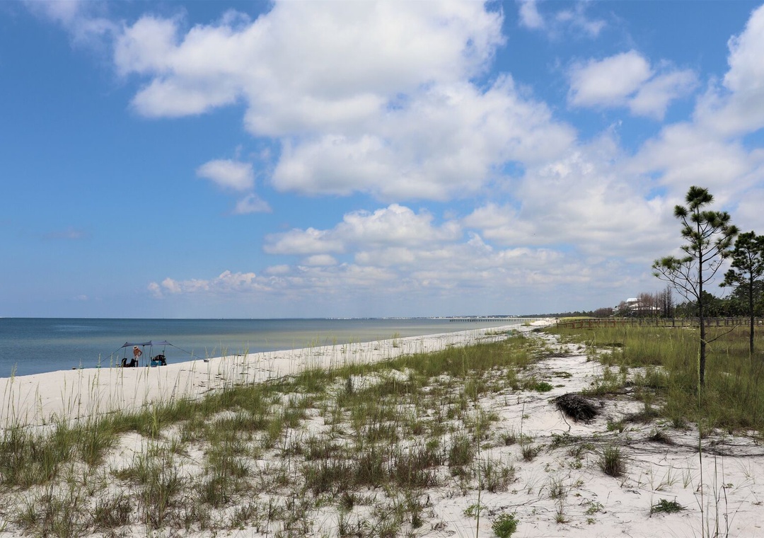 image_164199031