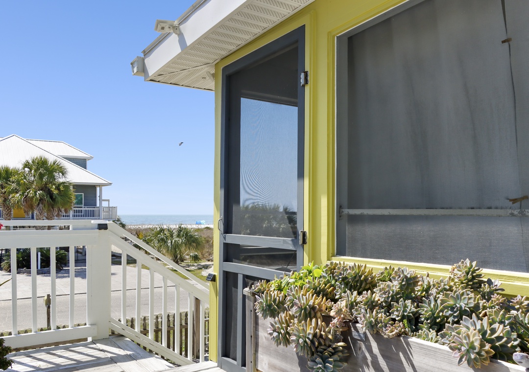 Succulent Garden and Main Entrance