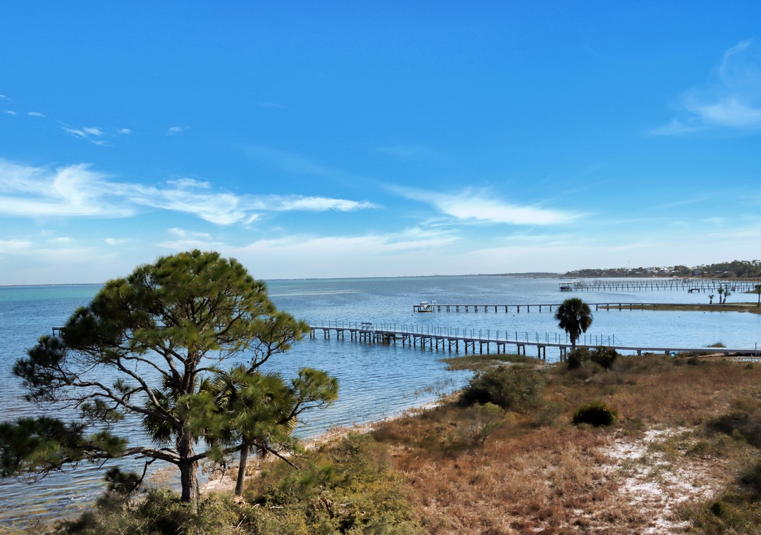 View Towards the Head of the Bay