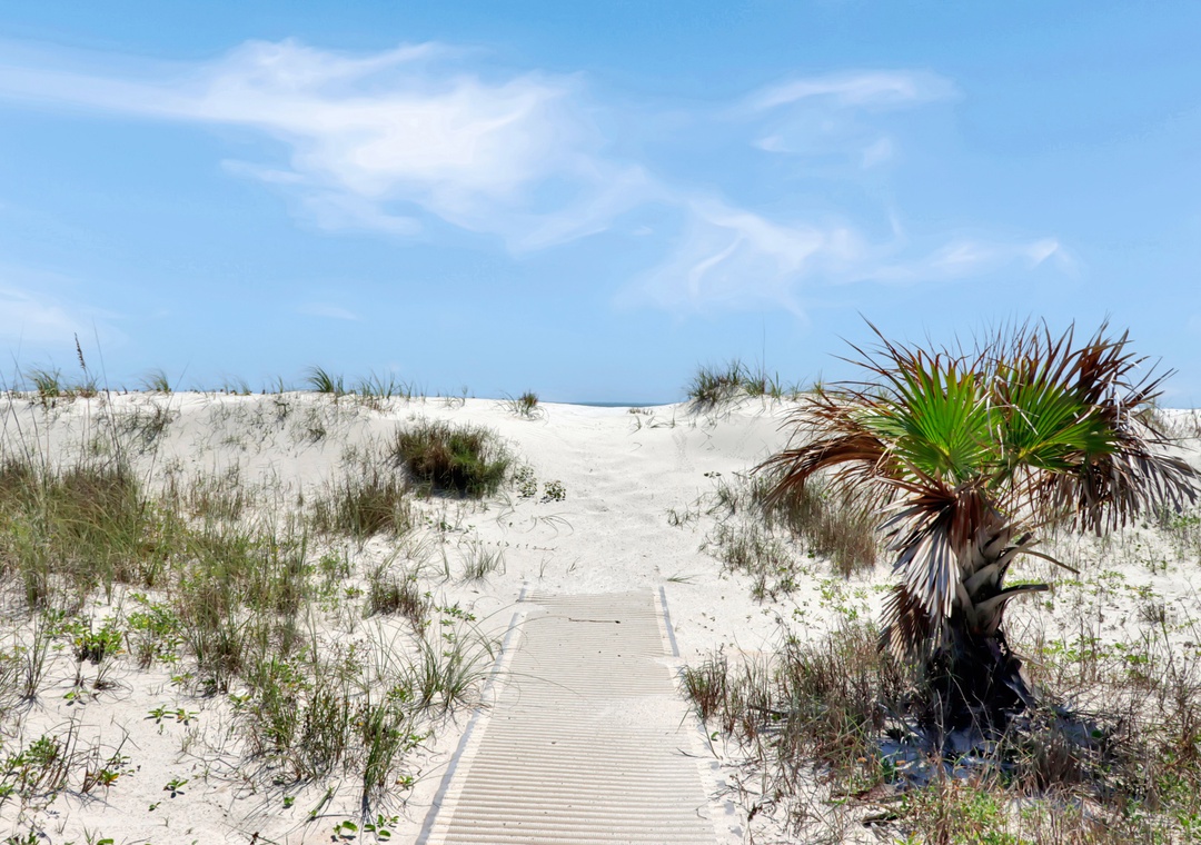 Pathway to Beach
