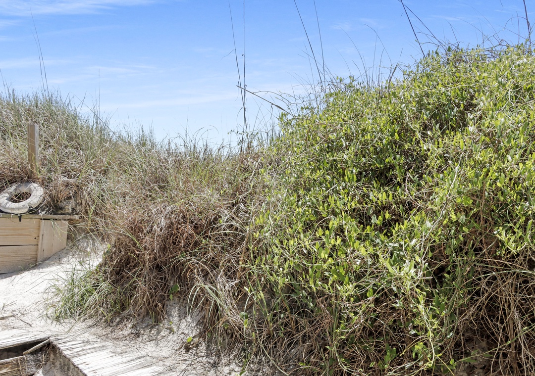 Pathway from Shower to the Beach