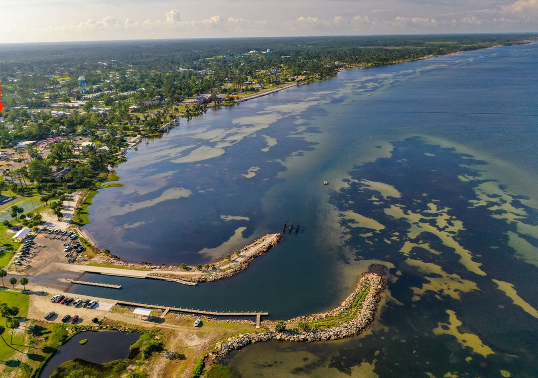 image_170169840