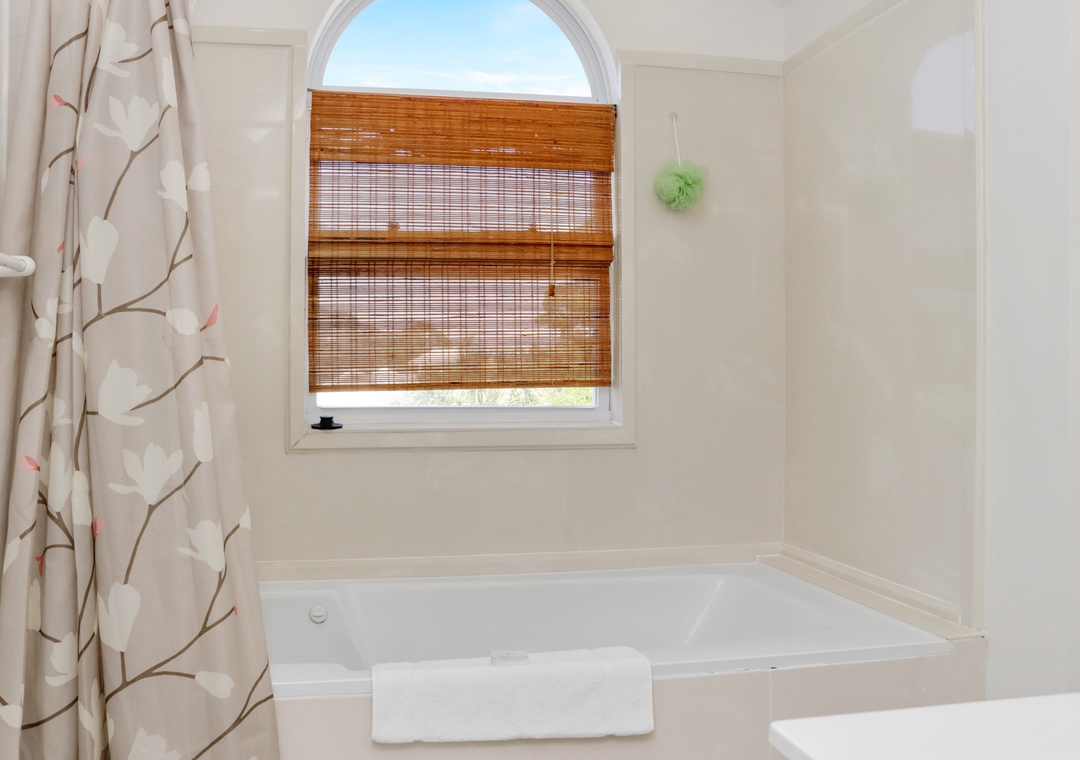 Top Floor Master Bath Tub