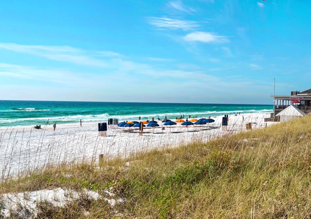 Enjoy a Drink or Bite at Whales Tail