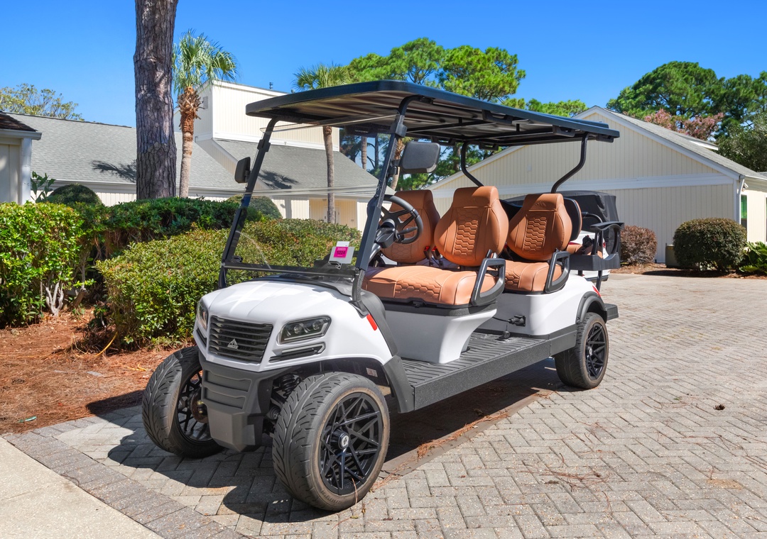 6 Seater Golf Cart