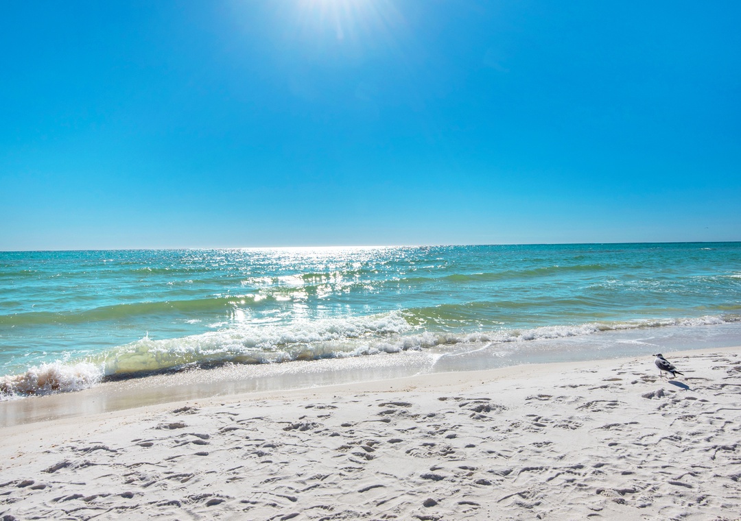 Beach at Shores of Panama