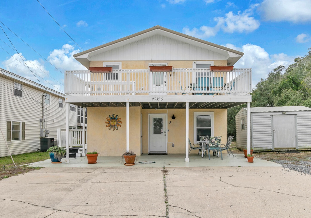 Sand Dollar B