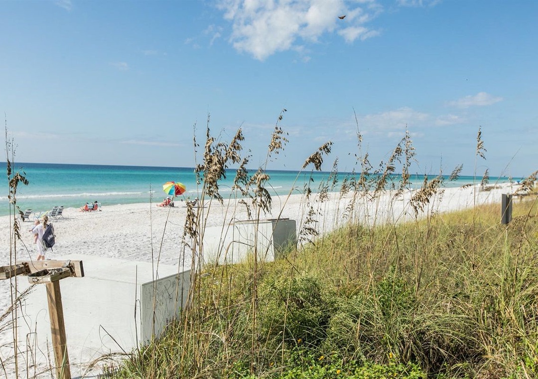 Where Emerald Waters Meet Luxury