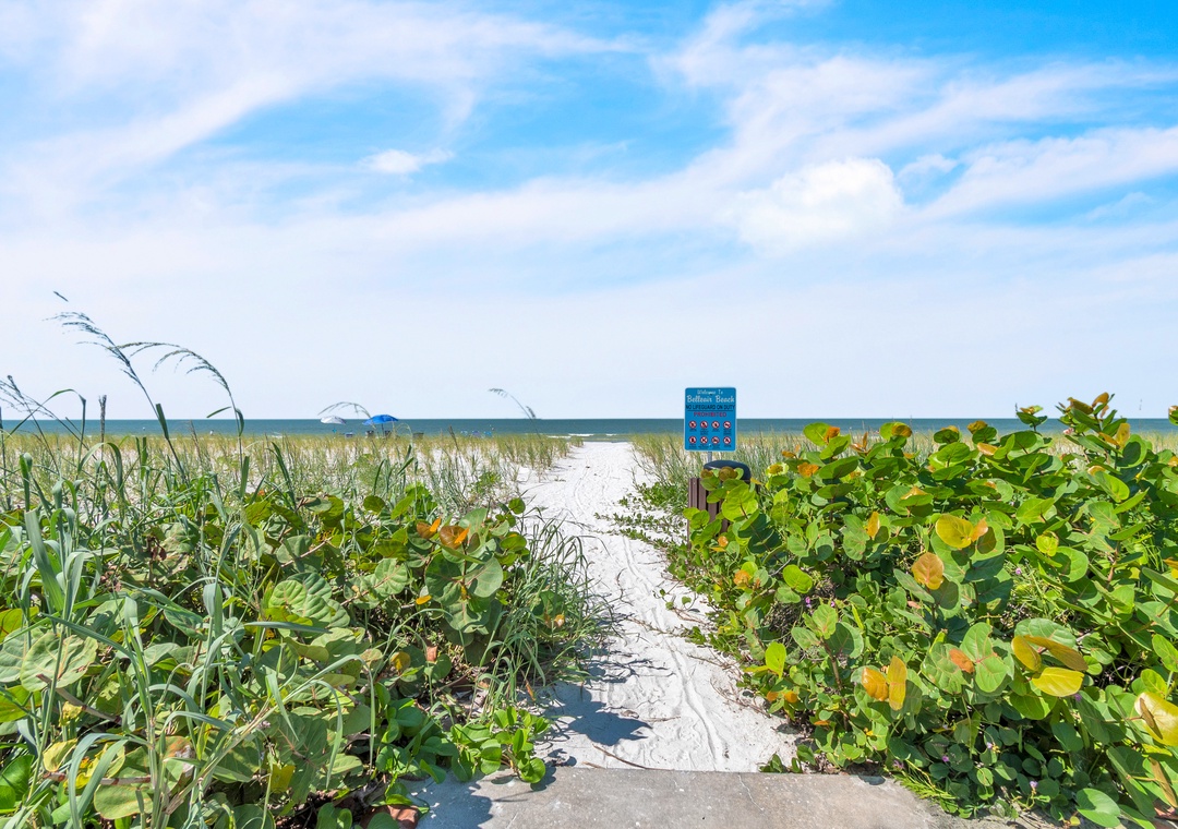 Beach Access Path