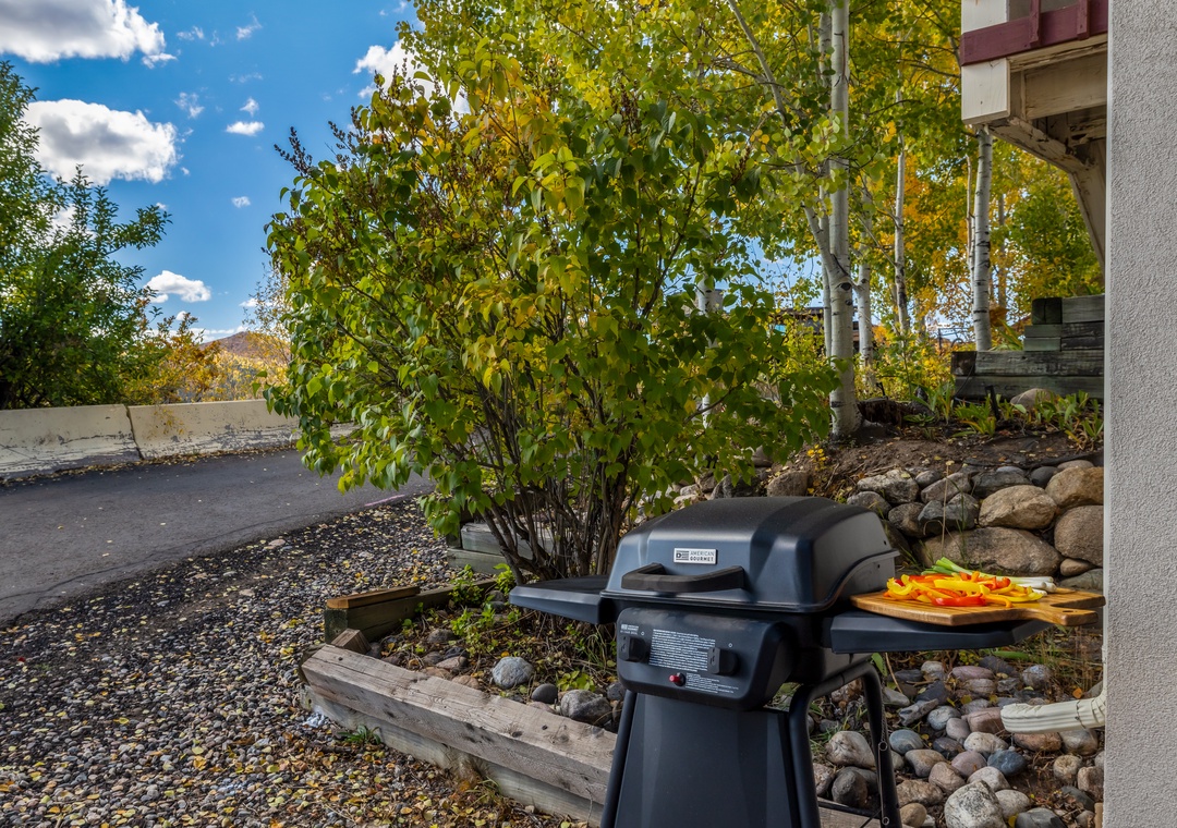 Grill on Patio