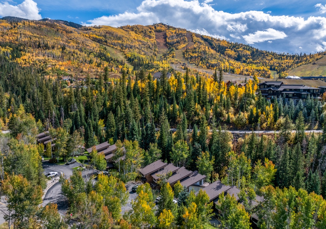 Winterwood Aerial View
