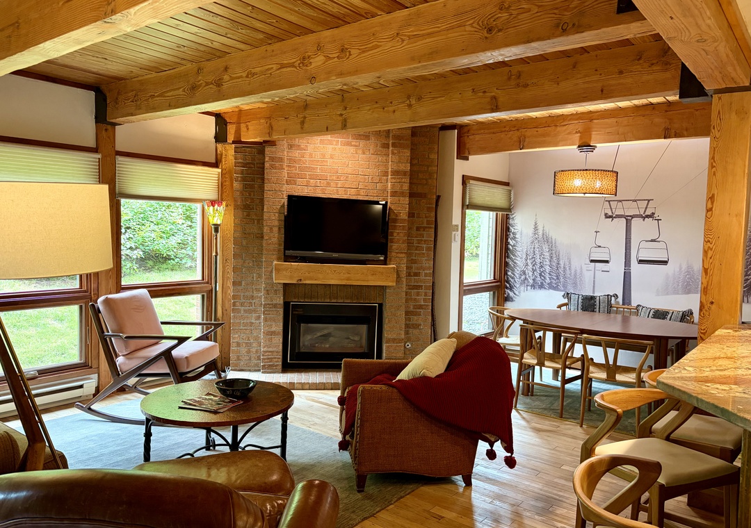 Living Area/Fireplace