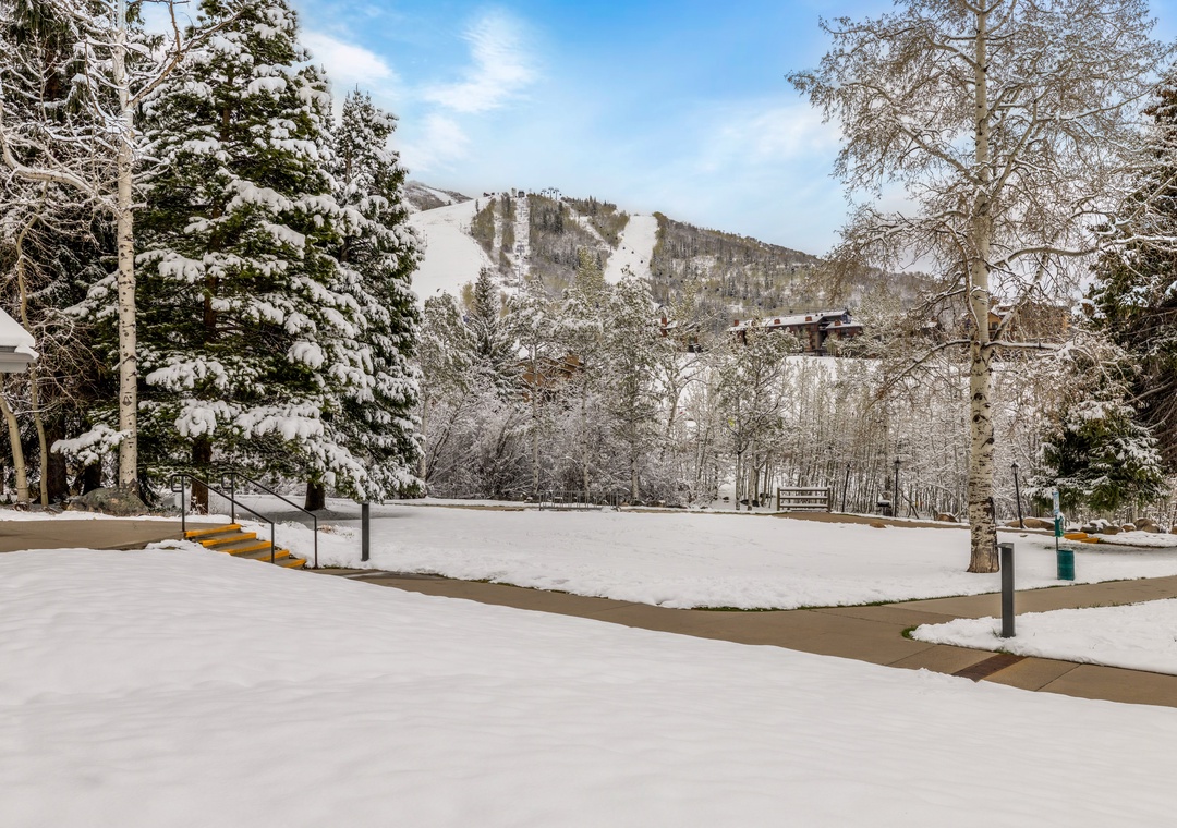 Mountain view from patio