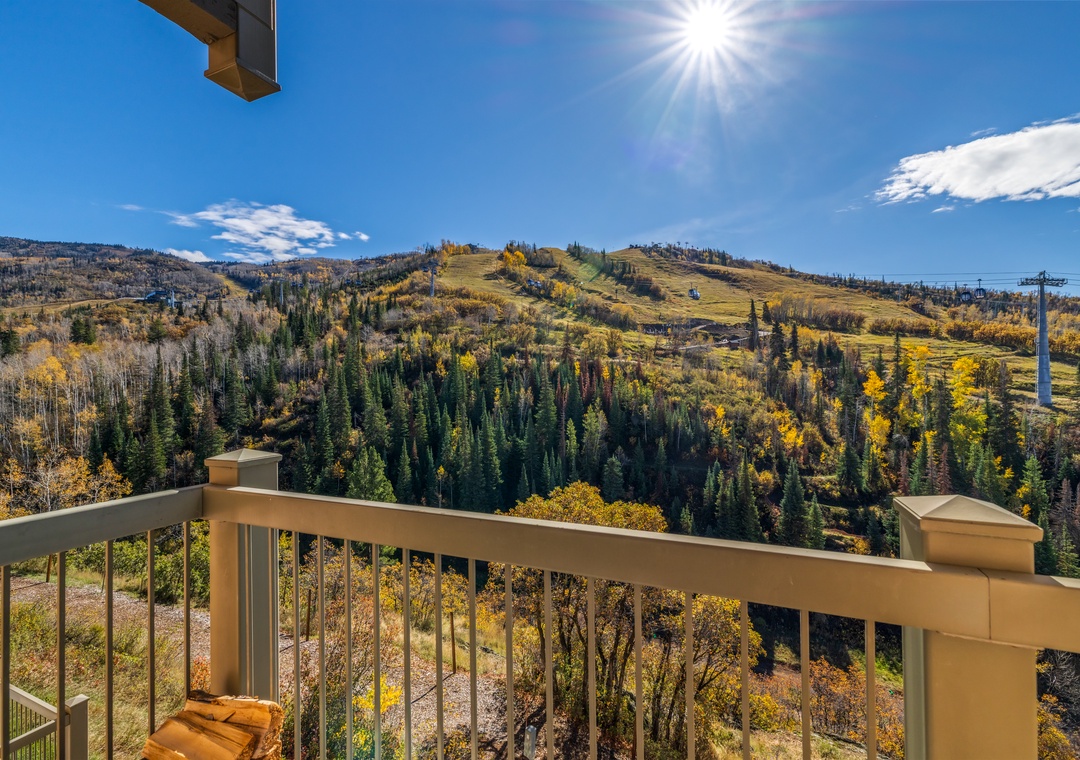 Patio Views