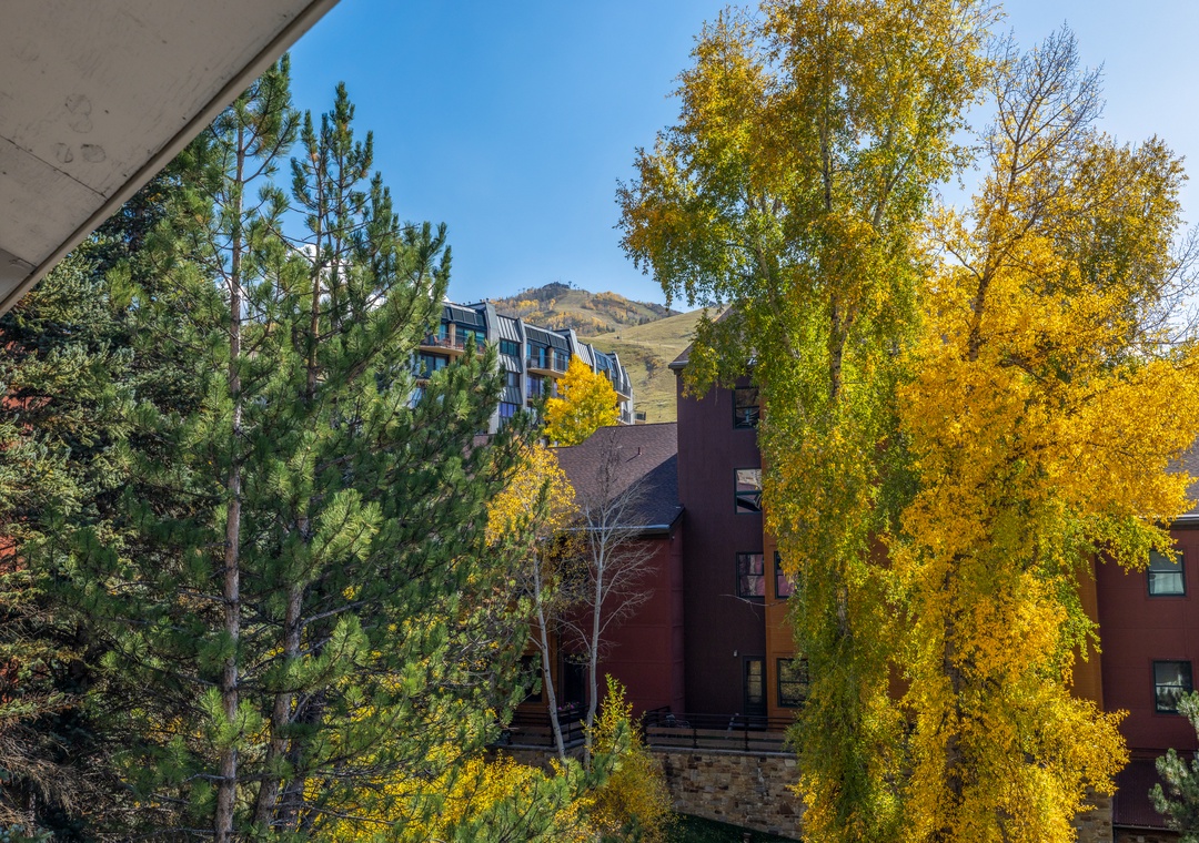 View from Patio