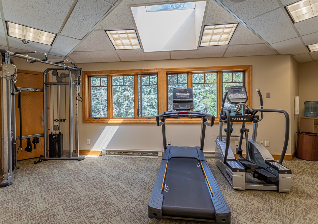 Your fitness routine stays on track in this bright gym with natural light, featuring cardio machines and strength training equipment with serene forest views.