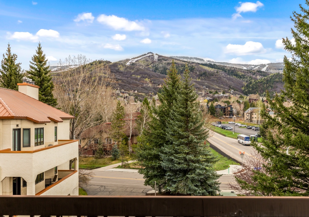 View from Balcony