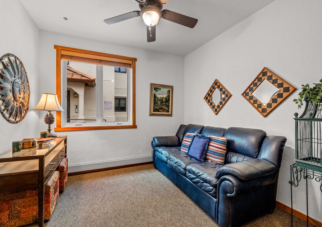 Den with Sleeper Sofa