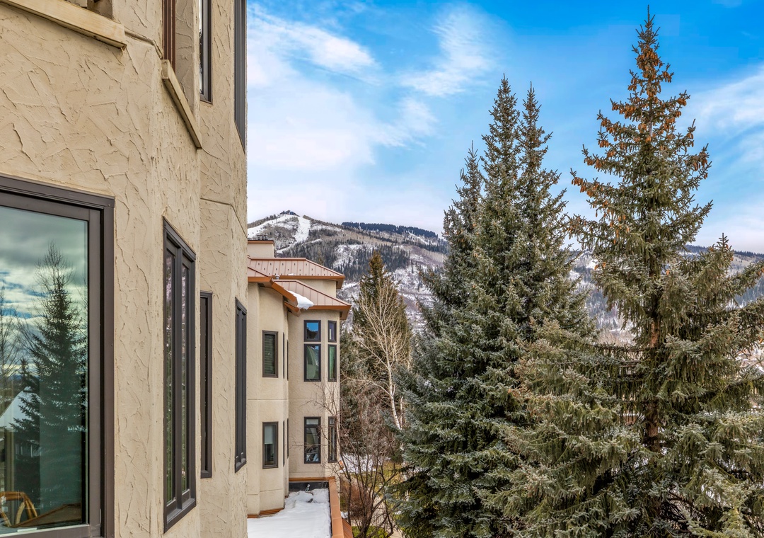 Mountain views frame the property, with snow-capped peaks creating a stunning backdrop beyond evergreen trees.