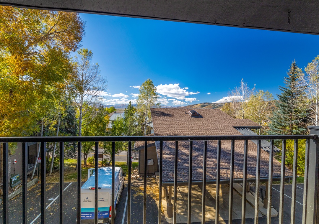 View from Patio