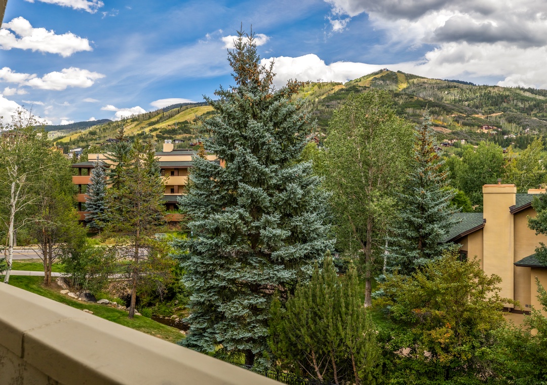 View from the patio