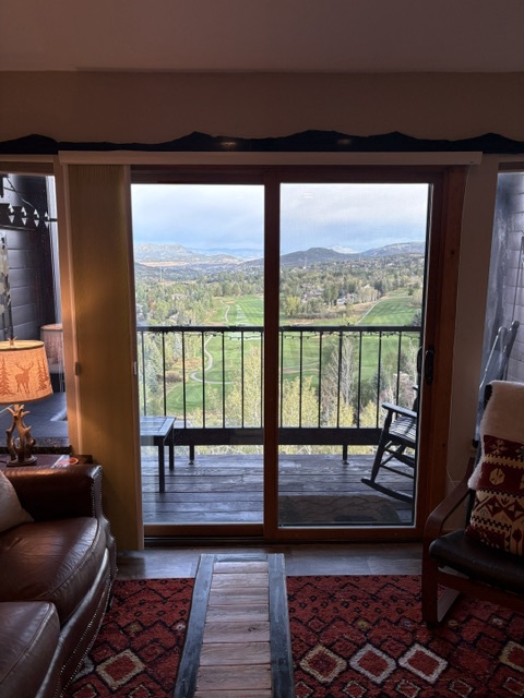 View from the living room